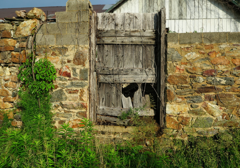 Illustration for article titled 25 Doors From Around The World